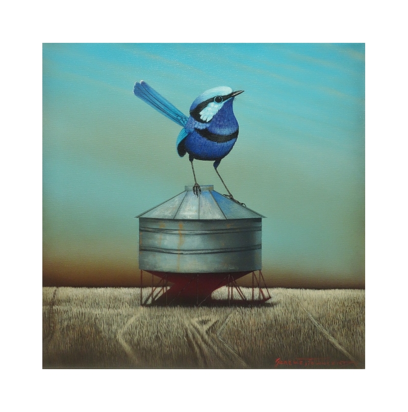 Blue Fairy Wren and Field Bin
