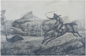 Chasing Emu