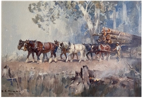 Hauling Timber