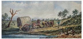 Freeing the Wheel, Goldfield Dray