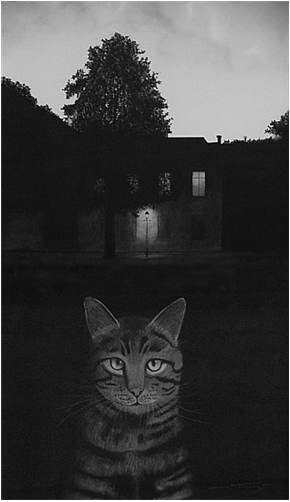 The Dominion of Light and Tabby Cat