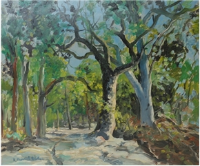 Forest Glade, Noosa