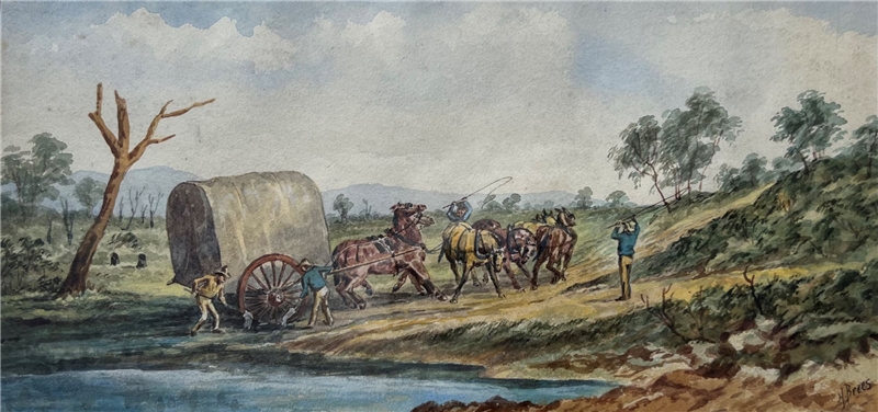 Freeing the Wheel, Goldfield Dray