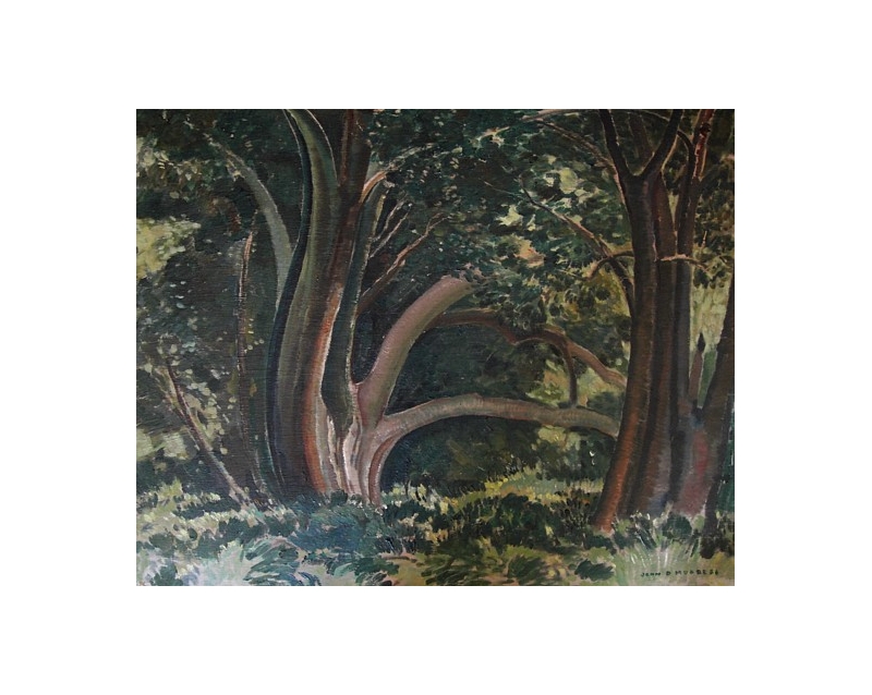Trees