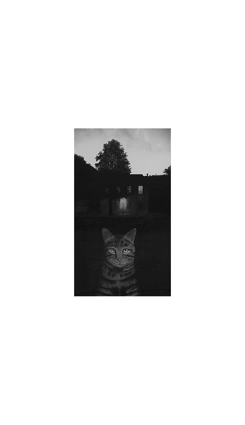 The Dominion of Light and Tabby Cat