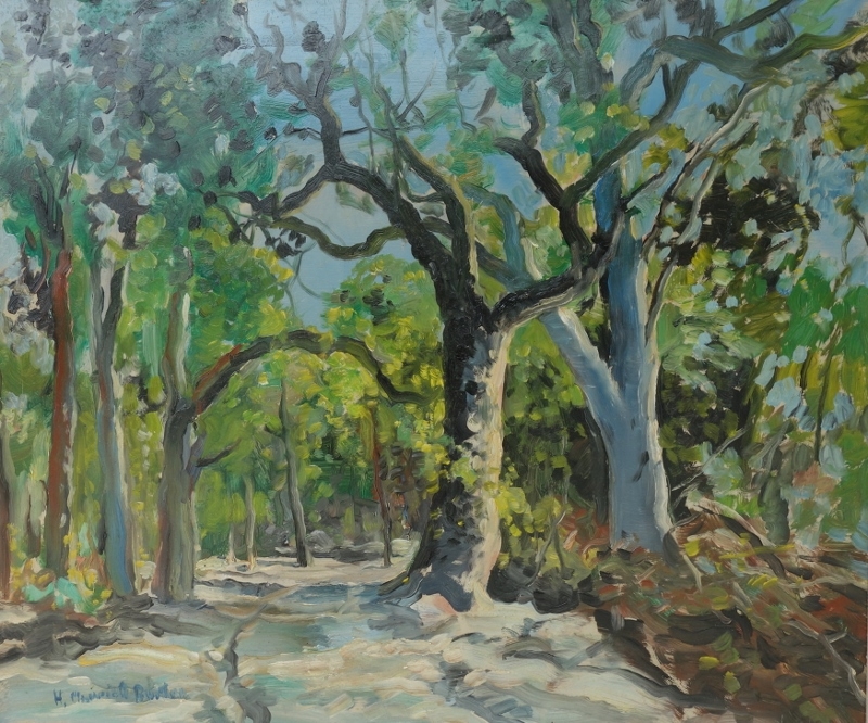 Forest Glade, Noosa