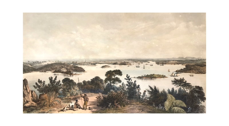 City and Harbour of Sydney  from Near Vaucluse 1852