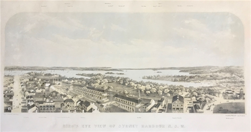 Bird's Eye View of Sydney Harbour