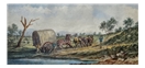 Freeing the Wheel, Goldfield Dray