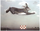Leap of Faith